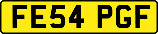 FE54PGF