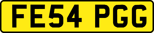 FE54PGG