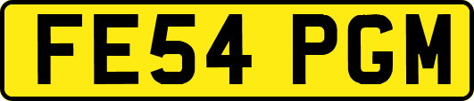 FE54PGM