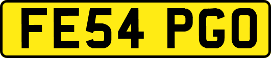 FE54PGO