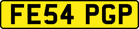 FE54PGP