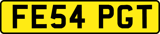 FE54PGT
