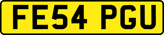 FE54PGU
