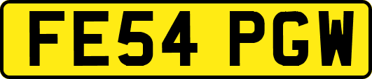 FE54PGW
