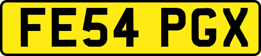 FE54PGX