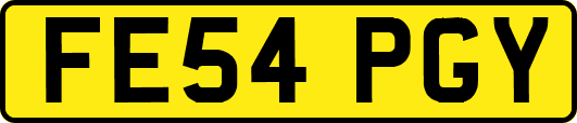 FE54PGY