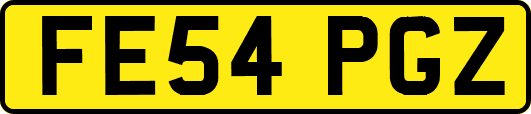 FE54PGZ