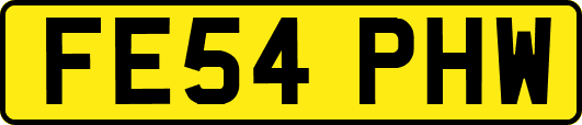 FE54PHW