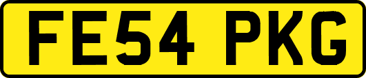 FE54PKG