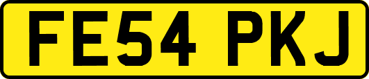 FE54PKJ
