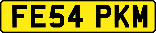 FE54PKM