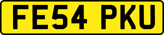 FE54PKU