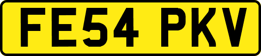 FE54PKV