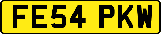 FE54PKW
