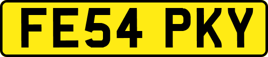 FE54PKY
