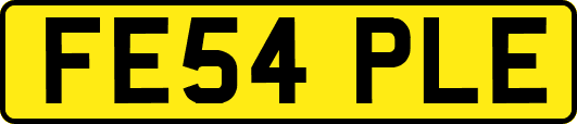 FE54PLE