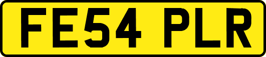 FE54PLR