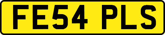 FE54PLS
