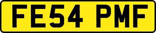 FE54PMF