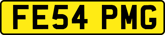 FE54PMG