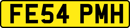 FE54PMH