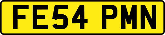 FE54PMN