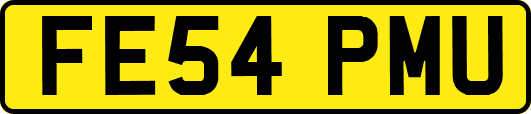 FE54PMU