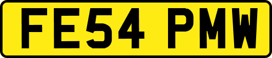 FE54PMW