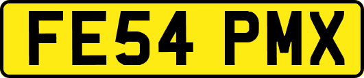 FE54PMX