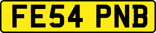 FE54PNB