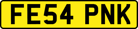 FE54PNK