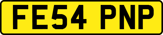 FE54PNP