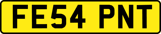 FE54PNT