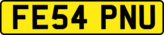 FE54PNU