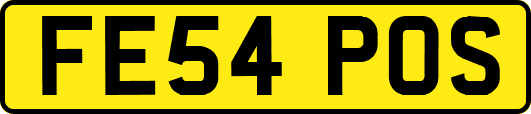 FE54POS