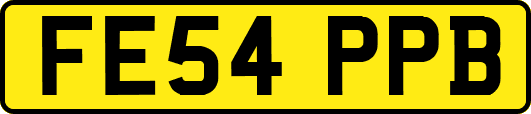 FE54PPB