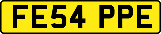 FE54PPE