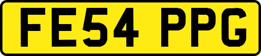 FE54PPG