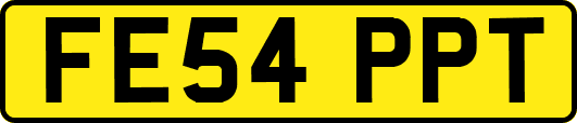 FE54PPT