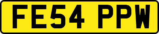 FE54PPW