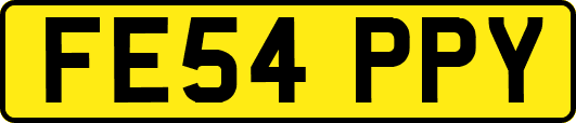 FE54PPY