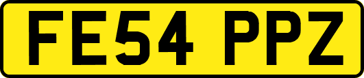 FE54PPZ