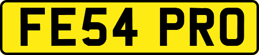 FE54PRO