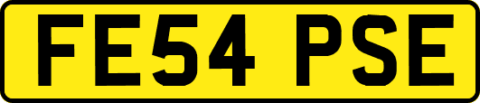 FE54PSE
