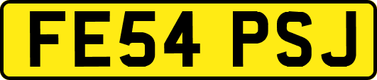 FE54PSJ