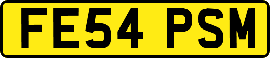 FE54PSM