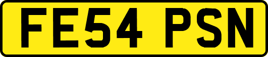 FE54PSN
