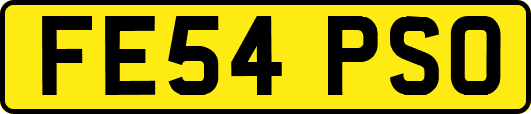 FE54PSO