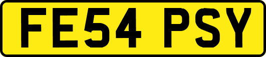 FE54PSY