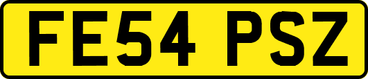 FE54PSZ